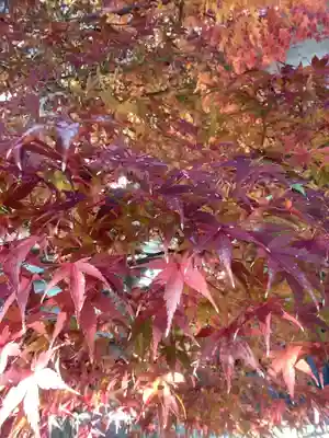 全久寺(愛知県)