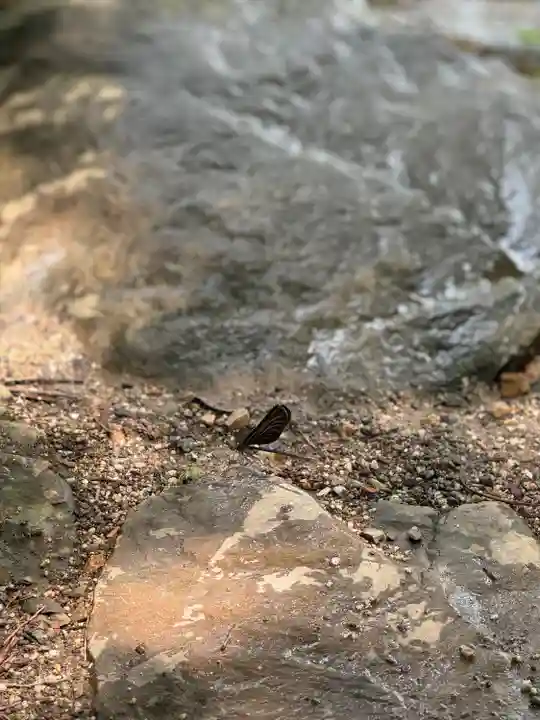 賀茂別雷神社(上賀茂神社)(京都府)
