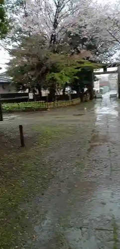 畑子安神社の自然