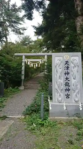 天津神大龍神宮の鳥居