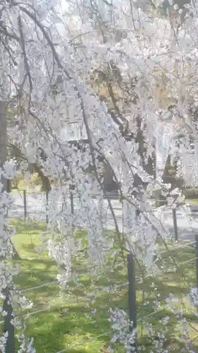 足羽神社(福井県)