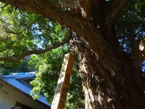 浄光明寺の自然