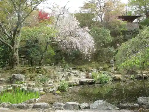 竹林院の庭園