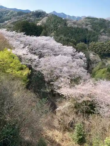愛宕神社の自然