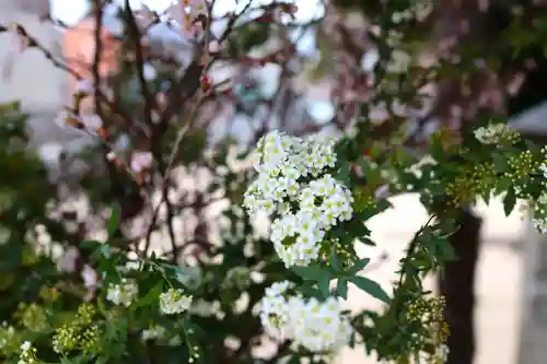 三津厳島神社(愛媛県)