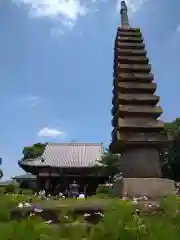 般若寺 ❁﻿コスモス寺❁(奈良県)