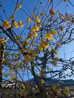 浄誓寺の{uncategorized: "未分類", other: "その他", undefined: "問題あり", building: "その他建物", grave: "お墓", sacred_gate: "鳥居", guardian: "狛犬", statue: "像", buddha: "仏像", history: "歴史", nature: "自然", garden: "庭園", animal: "動物", pagoda: "塔", temizu: "手水舎", mountain_gate: "山門・神門", sanctuary: "本殿・本堂", subordinate: "末社・摂社", art: "芸術", scenery: "景色", jizo: "地蔵", ema: "絵馬", goshuin: "御朱印", omikuji: "おみくじ", items: "授与品その他", amulet: "お守り", goshuincho: "御朱印帳", eats: "食事", festival: "お祭り", votive_dance: "神楽", shichigosan: "七五三参", wedding: "結婚式", experience: "体験その他", initially: "初詣", around: "周辺", anti_infection: "感染症対策"}