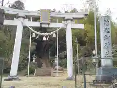 池鯉鮒神社の鳥居