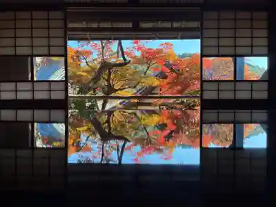 柳谷観音　楊谷寺(京都府)