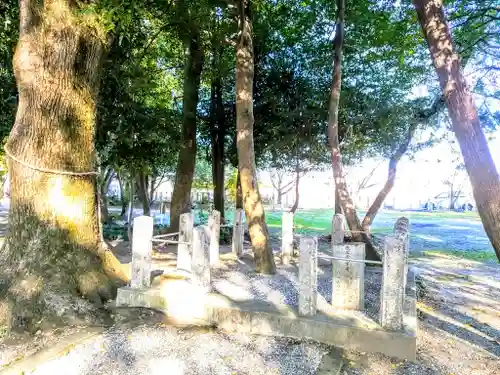 犬ヶ坪神明社の自然