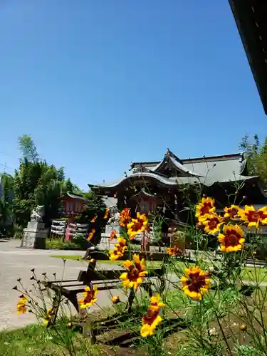 鷺宮八幡神社の自然