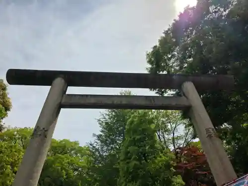 根津神社の{uncategorized: "未分類", other: "その他", undefined: "問題あり", building: "その他建物", grave: "お墓", sacred_gate: "鳥居", guardian: "狛犬", statue: "像", buddha: "仏像", history: "歴史", nature: "自然", garden: "庭園", animal: "動物", pagoda: "塔", temizu: "手水舎", mountain_gate: "山門・神門", sanctuary: "本殿・本堂", subordinate: "末社・摂社", art: "芸術", scenery: "景色", jizo: "地蔵", ema: "絵馬", goshuin: "御朱印", omikuji: "おみくじ", items: "授与品その他", amulet: "お守り", goshuincho: "御朱印帳", eats: "食事", festival: "お祭り", votive_dance: "神楽", shichigosan: "七五三参", wedding: "結婚式", experience: "体験その他", initially: "初詣", around: "周辺", anti_infection: "感染症対策"}