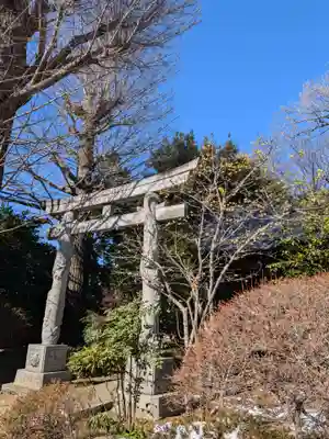 高円寺(東京都)