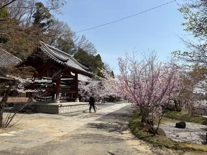 安岡寺(大阪府)