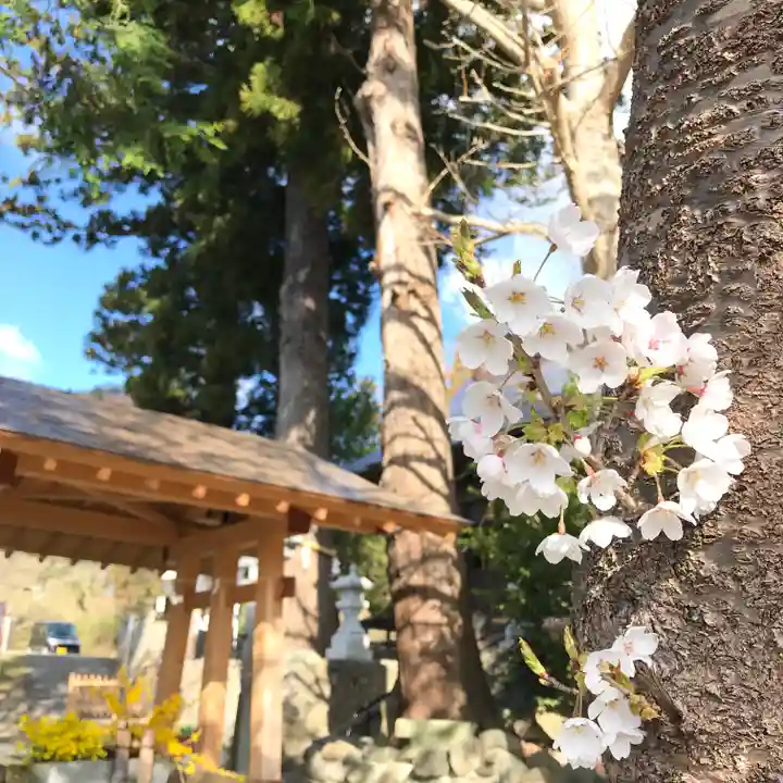 高司神社〜むすびの神の鎮まる社〜の自然