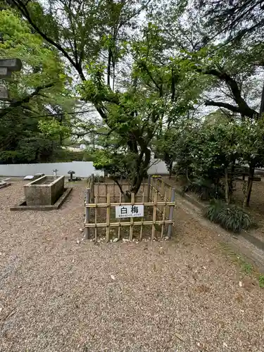 高岡市護国神社の自然