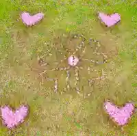 伊達神社(北海道)