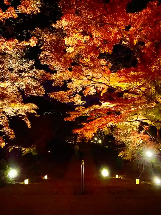 宝満宮竈門神社の自然