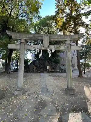 浅間神社(埼玉県)