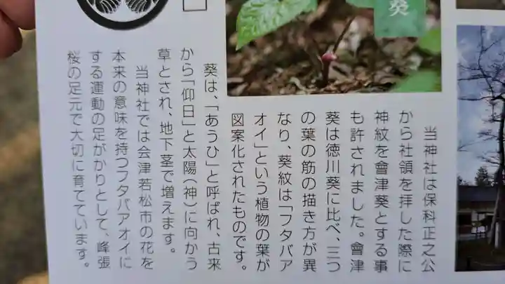 蠶養國神社(福島県)