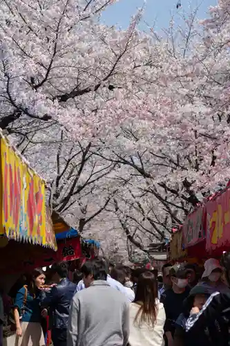 平野神社の食事