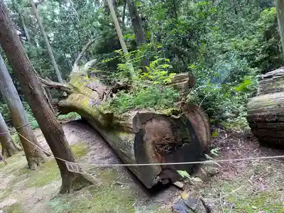 夫婦大國社（春日大社末社）(奈良県)