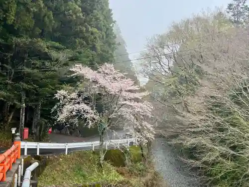須山浅間神社(静岡県)