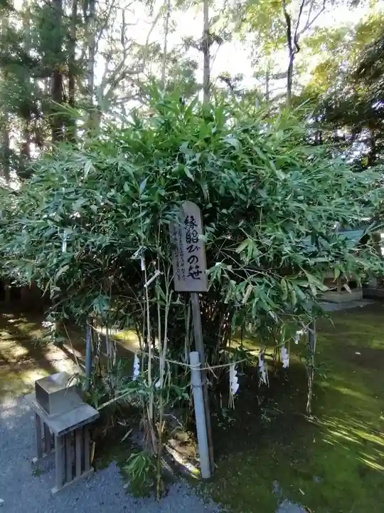 常陸第三宮 吉田神社の庭園
