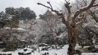 圓光寺(京都府)