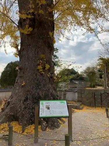 天徳寺(山口県)