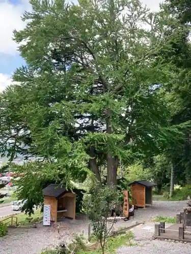 浦幌神社・乳神神社の自然