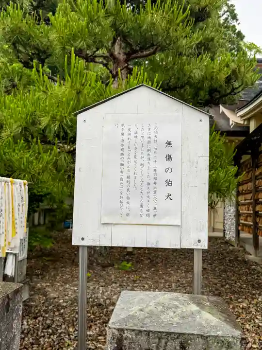 福井県護国神社(福井県)