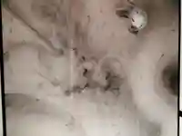 霊源院(京都府)