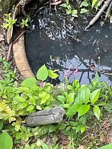 笠覆寺 (笠寺観音)(愛知県)