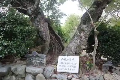 勧修寺(京都府)