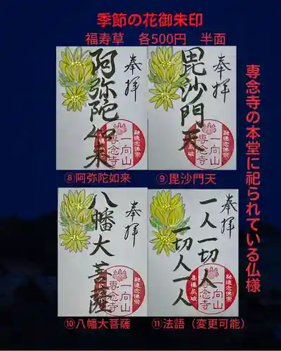 専念寺の御朱印