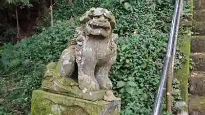 春日神社の狛犬