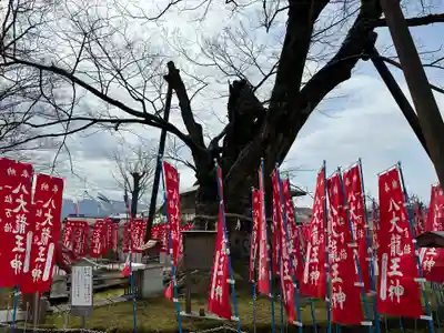 秩父今宮神社(埼玉県)