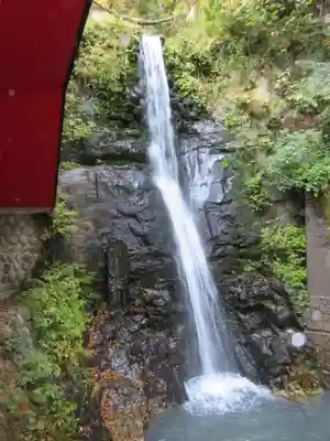 大正寺(中野不動尊)の周辺