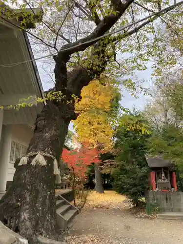 稗田神社の末社