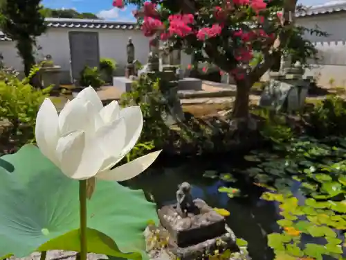 歓喜院(兵庫県)