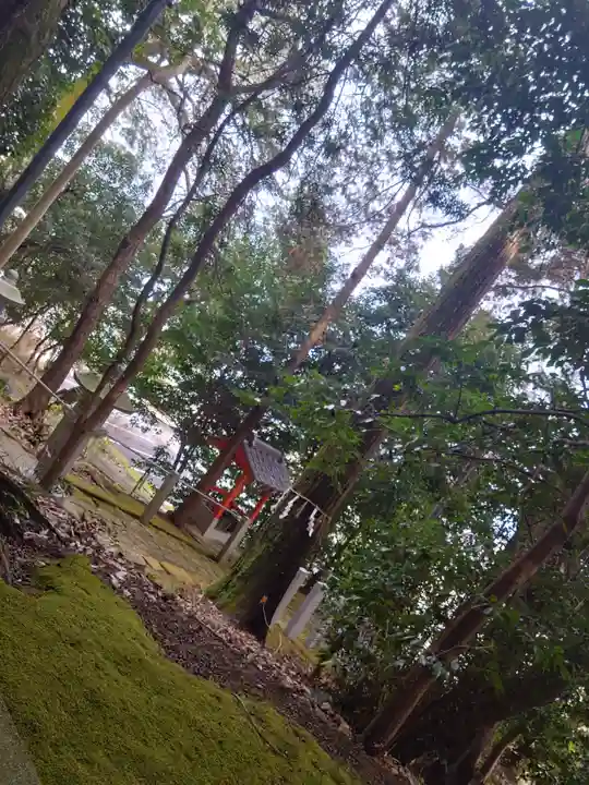 西宮神社(京都府)