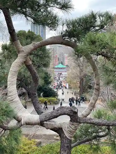 寛永寺不忍池弁天堂(東京都)