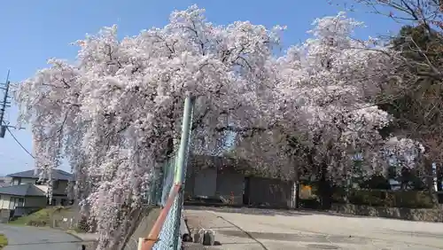 赤城神社(群馬県)