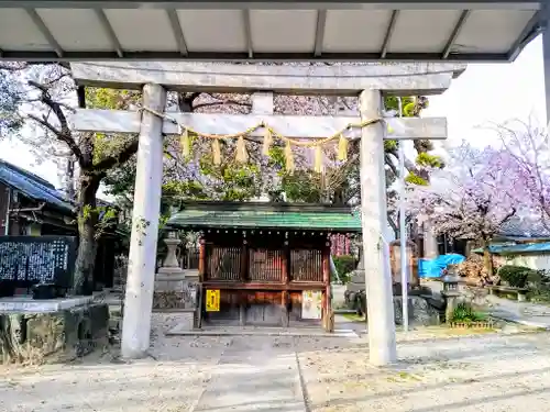 八幡社（大秋八幡社）の鳥居