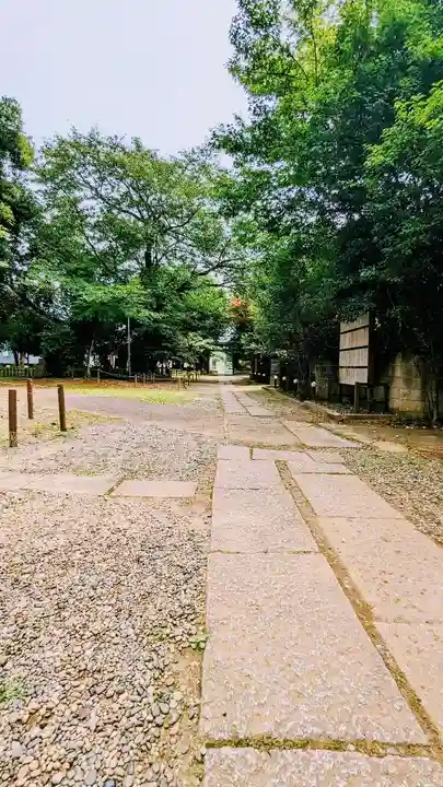 畑子安神社の自然