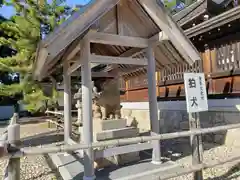 元伊勢籠神社の狛犬