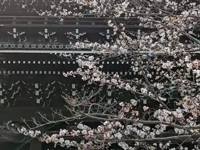 くろ谷 金戒光明寺(京都府)