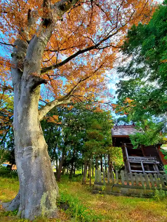 蠶養國神社(福島県)