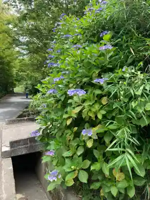 回春院(神奈川県)